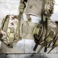 را بک سازمانی اصلی