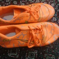 کفش فوتبالی روی چمن|کیف، کفش، کمربند|محمدشهر, عباس آباد|دیوار