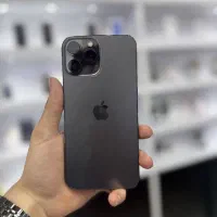 سیزده پرومکس گربه سیاه