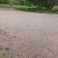 عکس-تزئینی