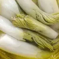 فروش  ترشی بیلهر