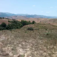 فروش زمین|فروش زمین و ملک کلنگی|دیلمان, |دیوار