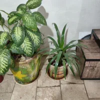 استند جای پفک چیپس