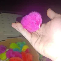 جوجه رنگی|حیوانات مزرعه|جوادآباد, |دیوار