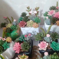 پخش عمده ی گلهای تزئینی(مراغه)|گل مصنوعی|مراغه, |دیوار