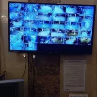 نصب حرفه ای دوربین مداربسته با بالاترین کیفیت|دوربین مداربسته|رشت, رشتیان|دیوار