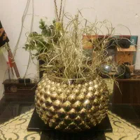دکوری منزل|صنایع دستی و سایر لوازم تزئینی|تهران, سید خندان (جلفا)|دیوار