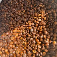 قهوه عمده شرکتی افتخار