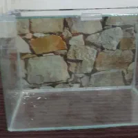 اکواریم|ماهی|شوش, |دیوار