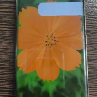 داریاباند|موبایل|تهران, سردارجنگل|دیوار