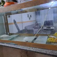 آکواریوم