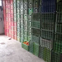 فروش پرتقال خونی وتامسون|عمده‌فروشی|خرم‌آباد (تنکابن), |دیوار