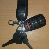 مفقود شدن دسته کلید و ریموت ویسته