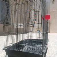قفس عروس هلندی