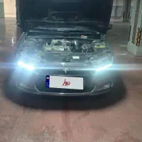 دنا معمولی تیپ ۲