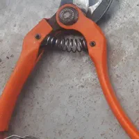 قیچی باغبانی