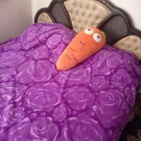 تشک خوشخواب|تشک تختخواب|ری, جوانمرد قصاب|دیوار