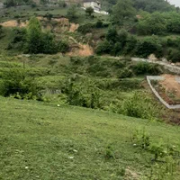 فروش ویژه ی زمین در سوادکوه شهر زیراب|فروش زمین و ملک کلنگی|زیرآب, |دیوار