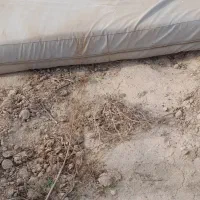 تشک ۳در ۲، ۳۰ سانتی مخصوص ژیمناستیک