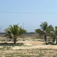زمین تجاری مسکونی کشاورزی 1هکتاری