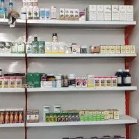 نیازمند یک همکار مجازی بدون محدودیت(خانوم )
