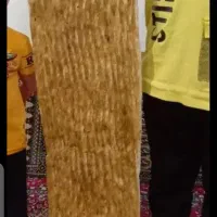 شاطربربری