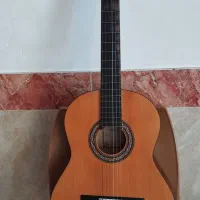 گیتار پارسm2