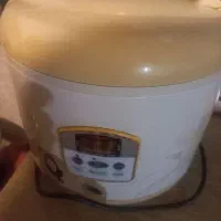 فروش پلوپزوآرام پز دیجیتال برندسانی|اجاق گاز و لوازم برقی پخت‌وپز|رشت, معلم|دیوار