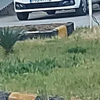 سایناs صفر