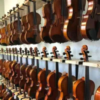 ویولن|ویولن|تهران, استاد معین|دیوار