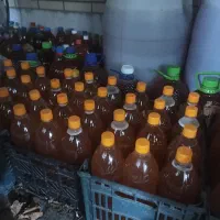 آبغوره دیم ارمنستانی طبیعی و ارگانیک