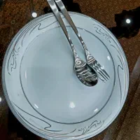 سرویس پذیرایی ۱۲ نفره چینی و قاشق و چنگال مبله نو