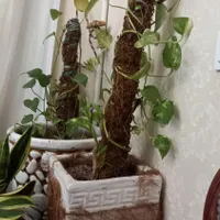 فروش به علت جابجایی