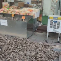 اجاره، واگذاری، مغازه، تخمه، فروشی
