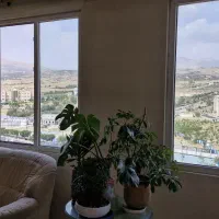 اجاره واحد مسکونی ۹۰ متری شهپریان