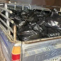 فروش روزانه یک تن تفاله هویج