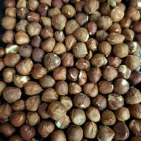 قوتو اصل کرمان|خوردنی و آشامیدنی|مشهد, کوشش|دیوار