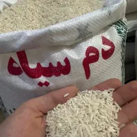 برنجمحلیدمسیاهوفجرسوزنی۹۰روزه|خوردنی و آشامیدنی|گنبد کاووس, |دیوار