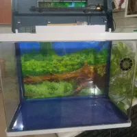 آکواریوم شرکتی در حد نو