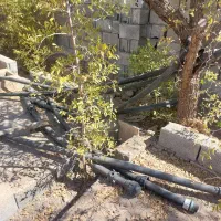 لوله برا ابیاری|مصالح و تجهیزات ساختمان|جلگه ماژان, |دیوار