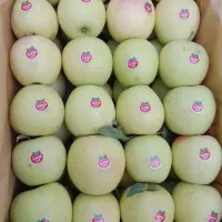 سیب قرمز و زرد درجه یک 1فروش عمده -سردخانه ارومیه