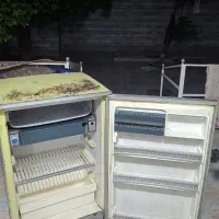 یخچال آزمایش ۱۰ فوت