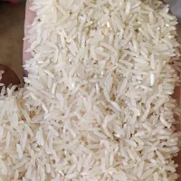 برنج فجرسوزنی پاییزه|عمدهفروشی|گنبد کاووس, |دیوار