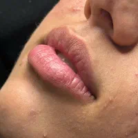 مدل فیبروز ابرو و شیدینگ لب (کاملا نچرال)