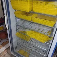 دستگاه جوجه کشی
