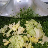 سبزیجات خورشتی|خوردنی و آشامیدنی|اصفهان, گورت|دیوار