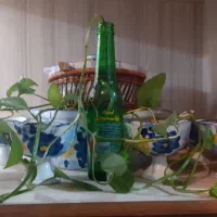 وسایل گل پنبه