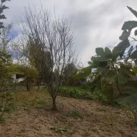 زمین-ویلایی-لارما-ساری