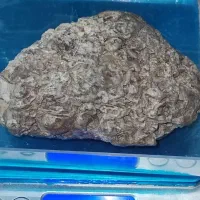 جواهری از کویر