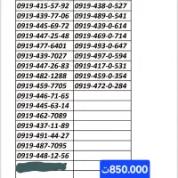 0919-433-40-54 لیست کامل|سیمکارت|شهریار, شهریار|دیوار
